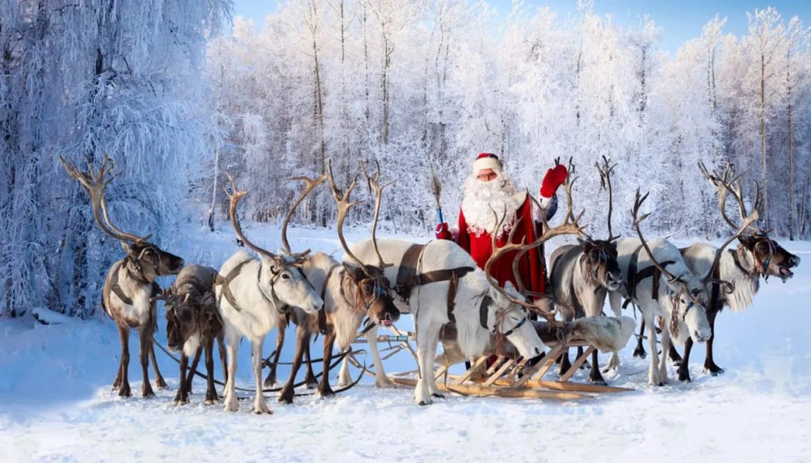 Blizzard - La Renna di Babbo Natale
