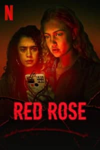 Red Rose