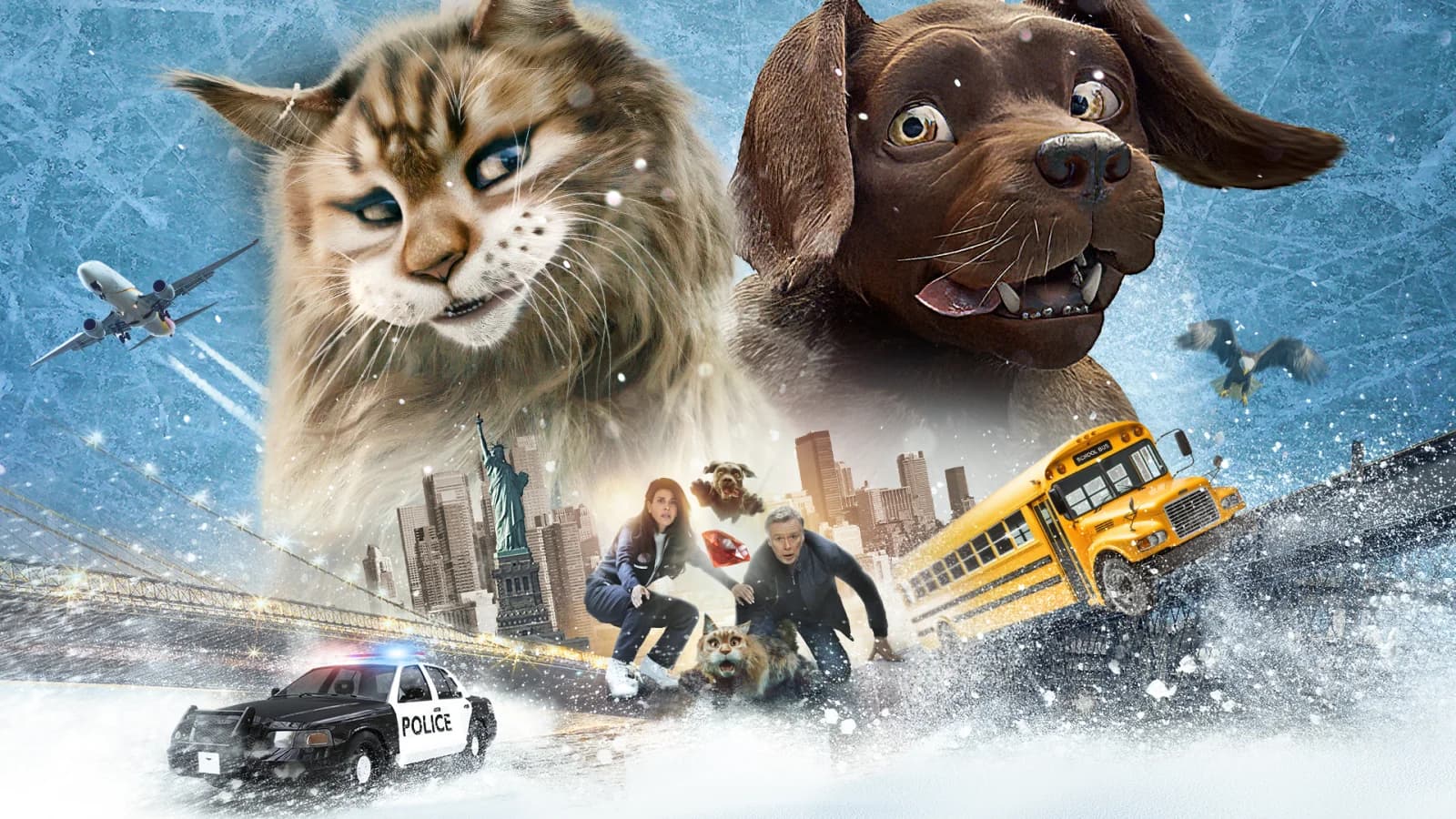Cat And Dog