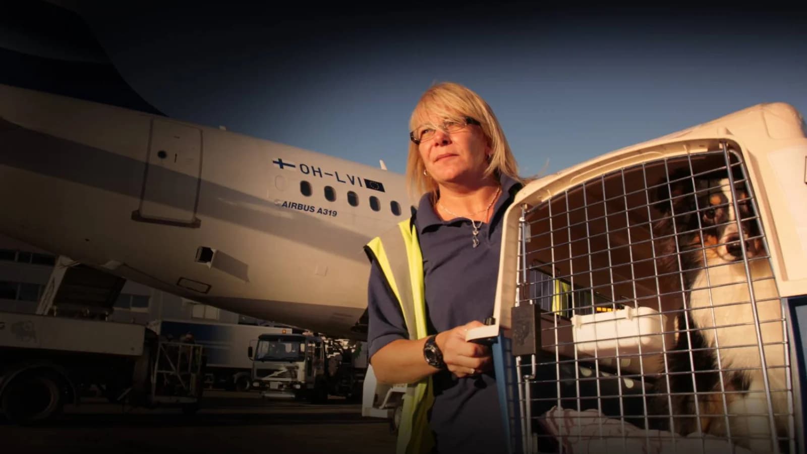 Airport security: animali
