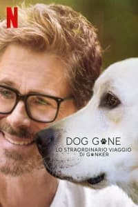 Dog Gone