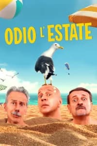 Odio l'estate