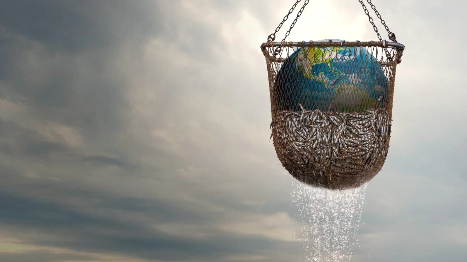 Seaspiracy: esiste la pesca sostenibile?