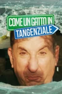 Come un gatto in tangenziale