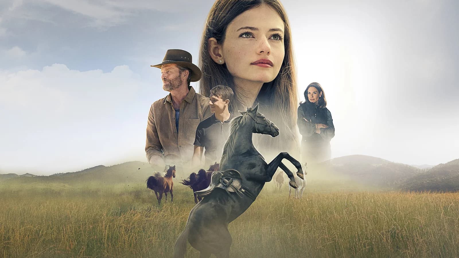 Black Beauty - Autobiografia di un cavallo
