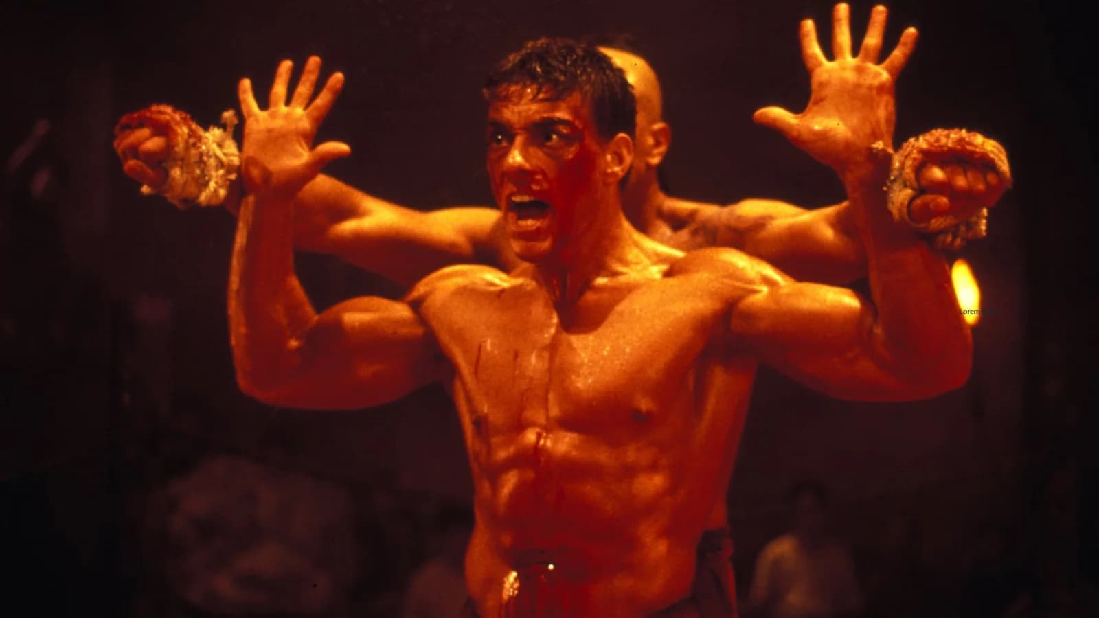 Kickboxer - Il nuovo guerriero