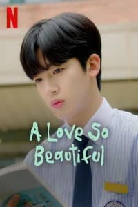 A Love So Beautiful