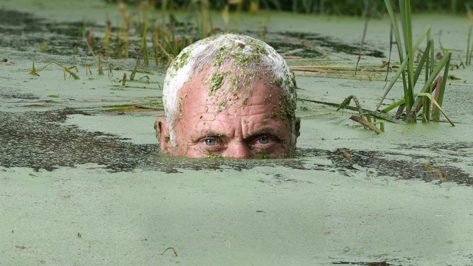 River Monsters: mondi sommersi