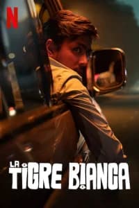 La tigre bianca