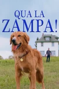 Qua la zampa!