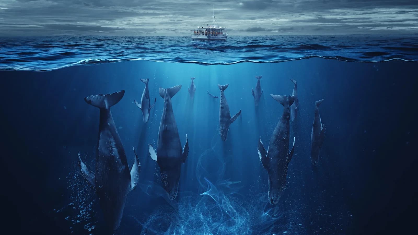 The Swarm - Il quinto giorno