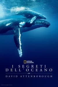 I Segreti Dell’oceano con David Attenborough