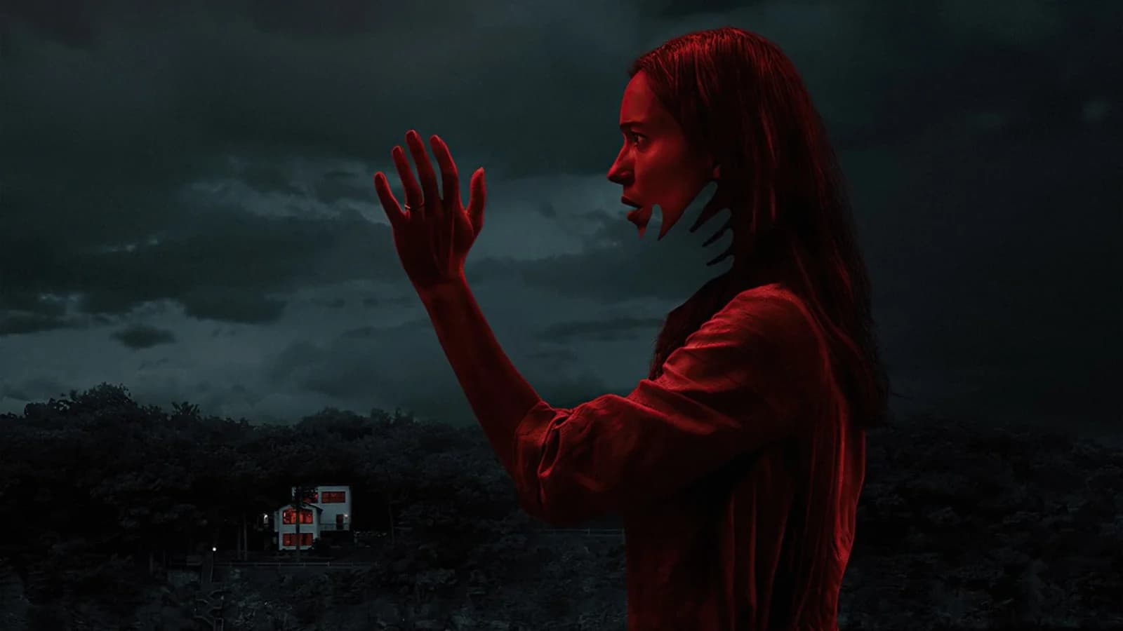 The night house - La casa oscura