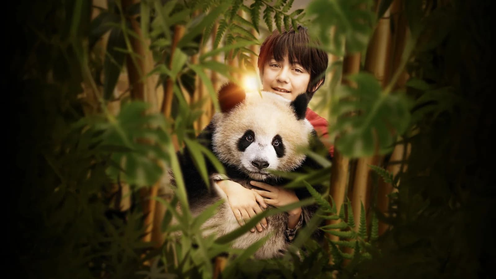 Moon il panda