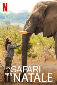 Un safari per Natale
