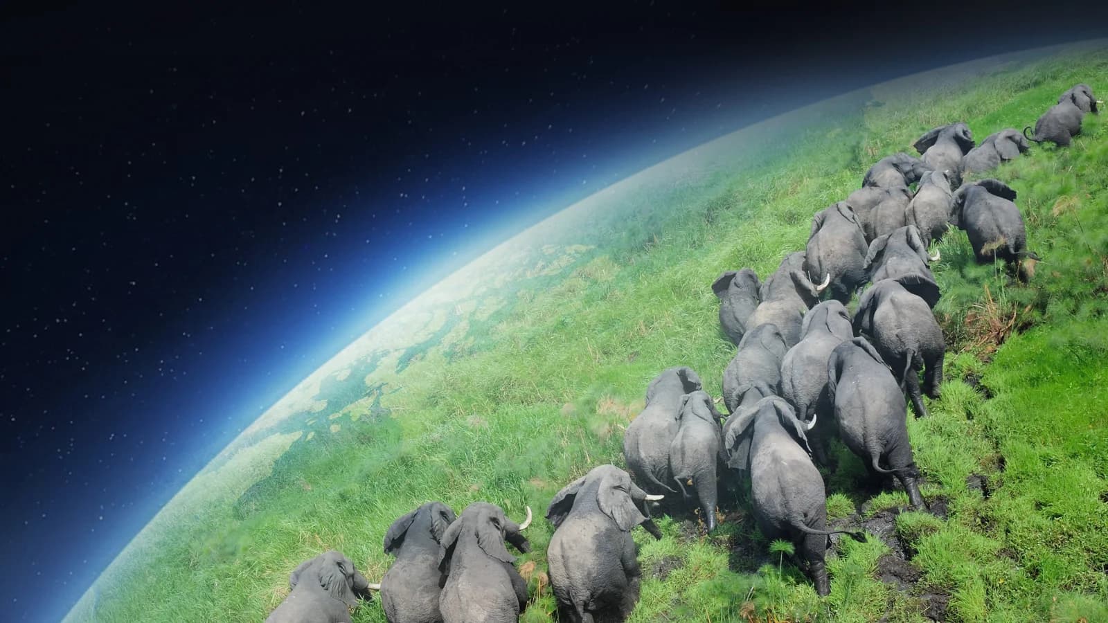 Pianeta Terra