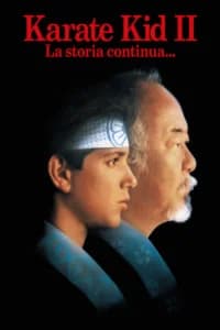Karate Kid II - La storia continua...