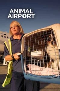 Airport security: animali