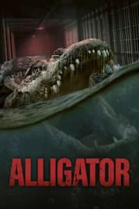 Alligator