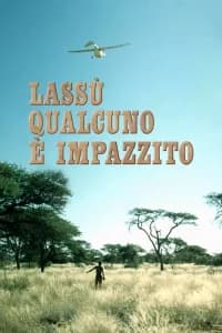 Lassù qualcuno è impazzito