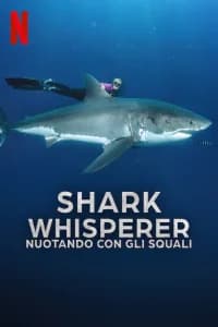 Shark Whisperer: nuotando con gli squali