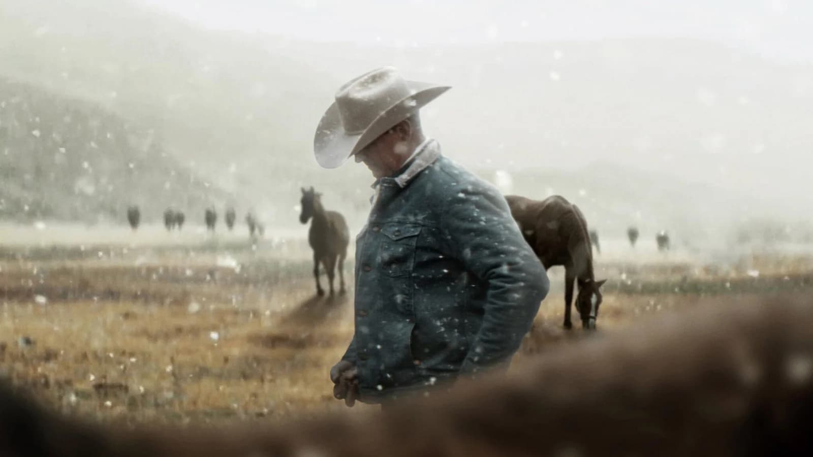 I miei eroi erano i cowboy