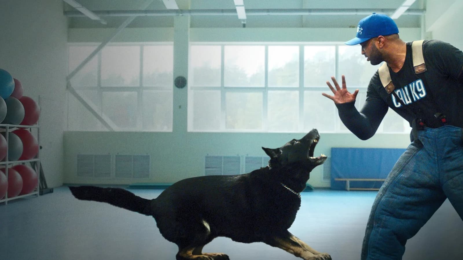 Dog Trainer - Scuola per cani