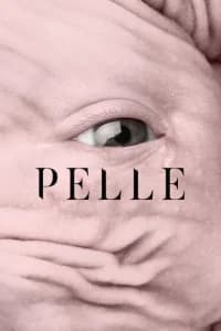 Pelle