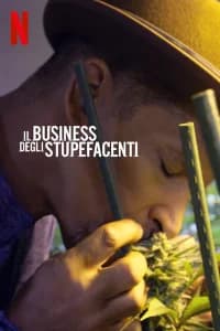 Il business degli stupefacenti
