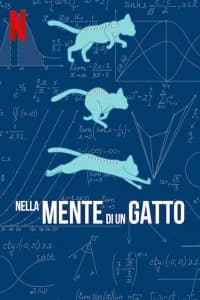 Nella mente di un gatto