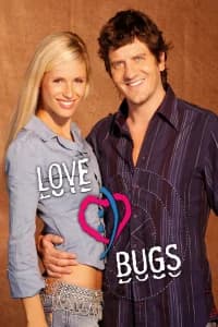 Love Bugs