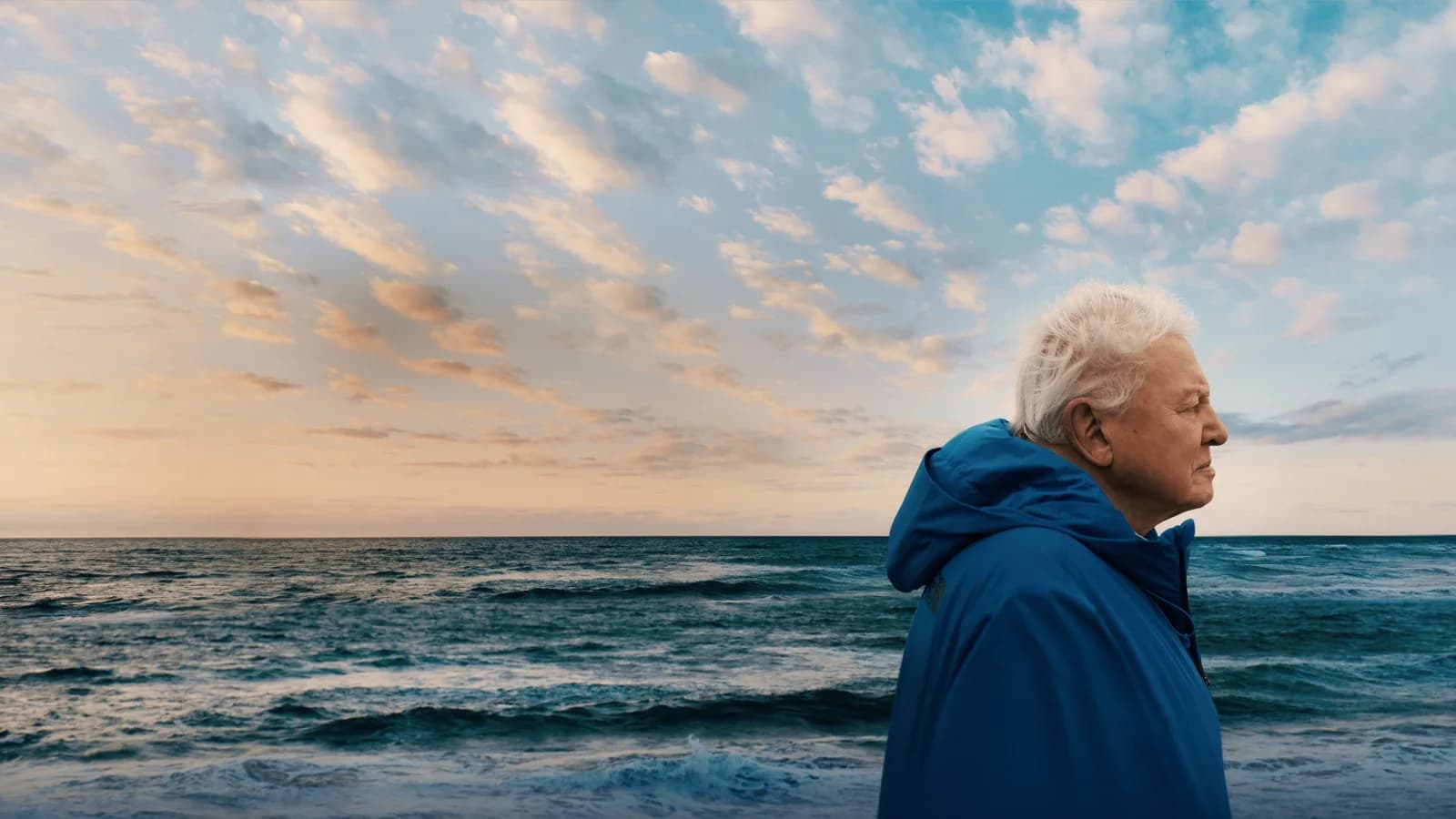 I Segreti Dell’oceano con David Attenborough