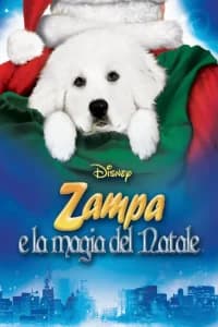 Zampa e la magia del Natale