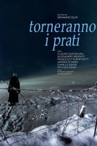 Torneranno i prati