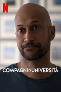 Compagni di università