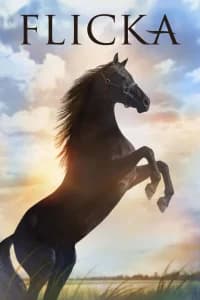 Flicka - Uno spirito libero