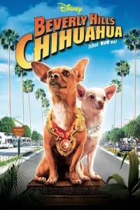 Beverly Hills Chihuahua (Ci uauh a)