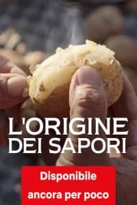 L'origine dei sapori