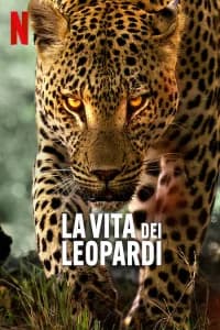 La vita dei leopardi