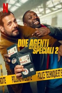 Due agenti molto speciali 2