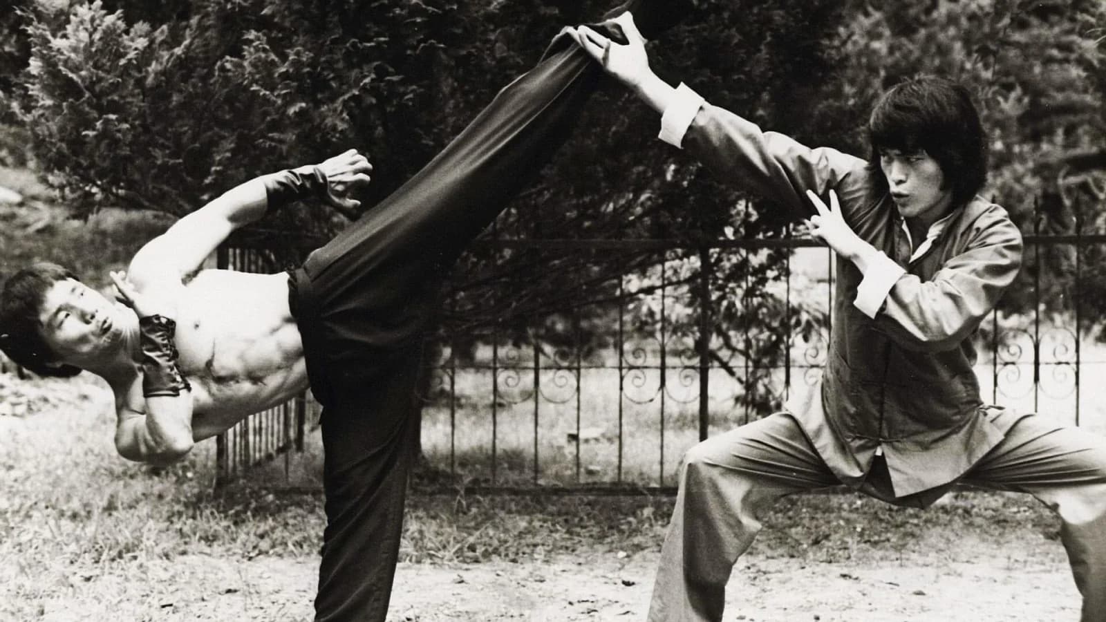 L'ultima sfida di Bruce Lee