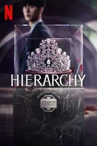 Hierarchy