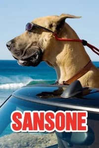 Sansone