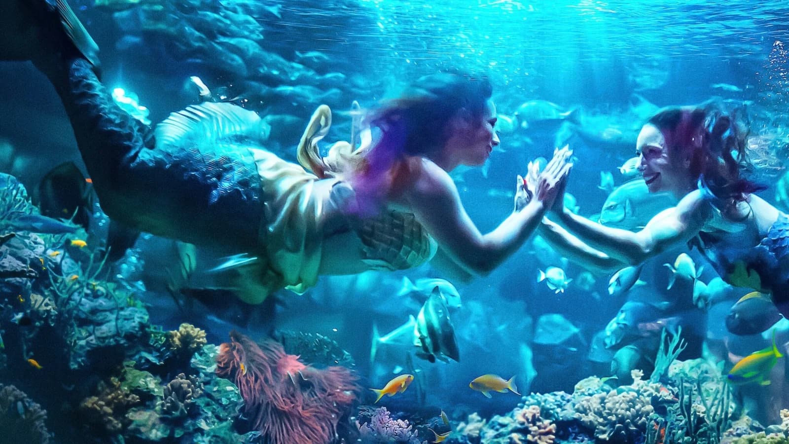 MerPeople - Sirene per lavoro