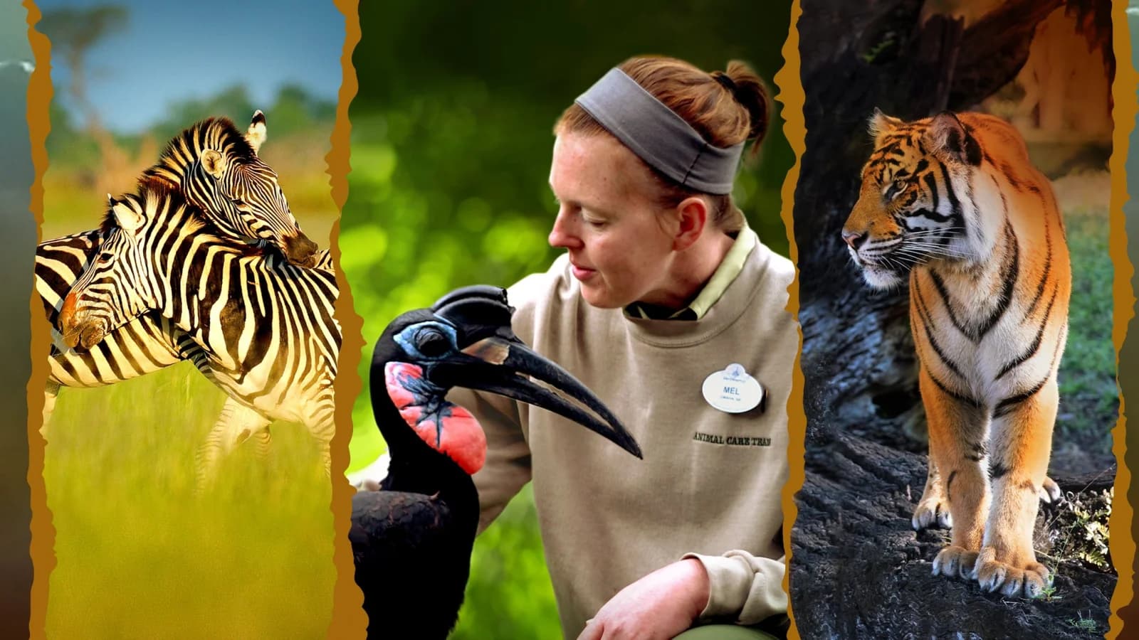 Gli eroi del Disney's Animal Kingdom