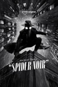 Spider-Noir black and white