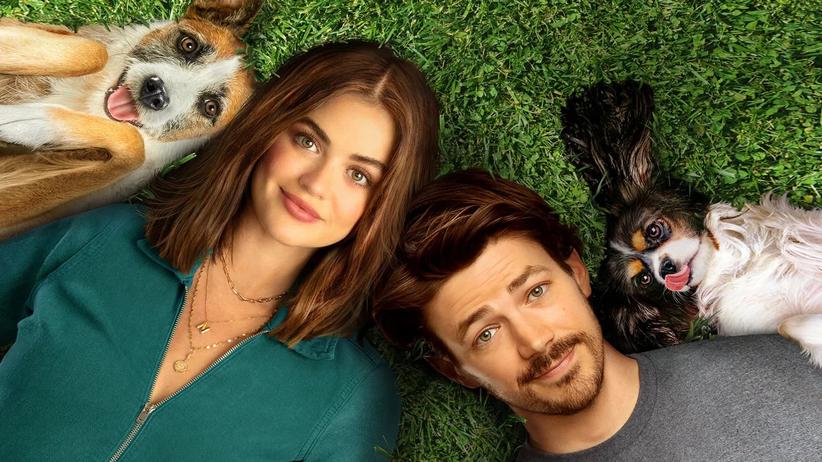 Una famiglia di cuccioli
