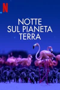 Notte sul pianeta Terra