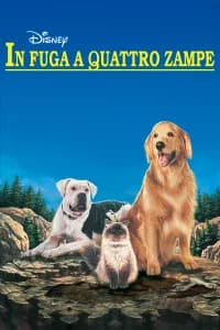 In fuga a quattro zampe