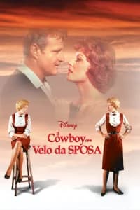 Il cowboy con il velo da sposa